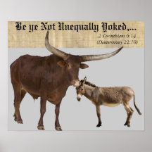 Unido desigual. V Poster