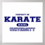 Universidad del karate impresiones