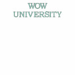UNIVERSIDAD DEL WOW - CHAQUETA BORDADA