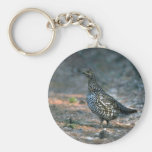 Urogallo Spruce, gallina Llavero Personalizado