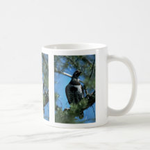 Urogallo Spruce, varón Tazas De Café