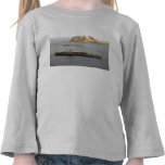 USS C Vinson CVN-70 Iwo Jima Camisetas