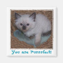 Usted ES imán de Pur-r-r-fect