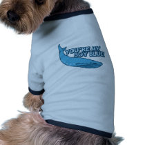¡Usted es mi azul del muchacho! película+regalos ropa para mascotas