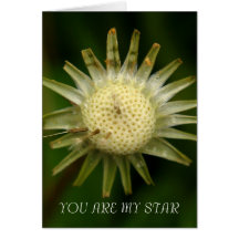 USTED ES MI ESTRELLA - FELICITACION 