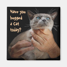 ¿Usted ha abrazado un gato hoy? Iman De Frigorífico