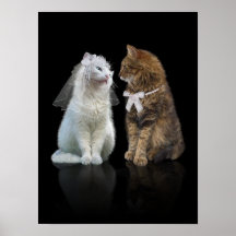 ¿Usted meow yo? Poster