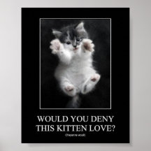 ¿Usted negaría este amor del gatito? Poster