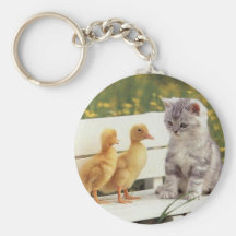¿Usted no parece un gatito? ¿Cuáles son usted? Llavero