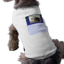 Usted puede ser mi camiseta del perro del mejor am ropa de perros