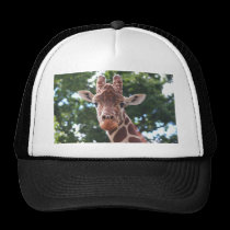 Usted que me mira ....... gorras