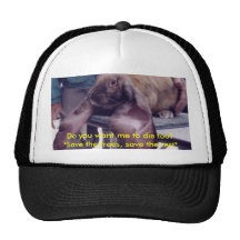 ¿Usted quisiera que muriera también? Gorras De Camionero