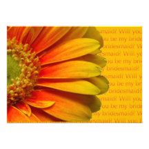 usted será mi gerbera amarillo-naranja de la dama  comunicados personales 