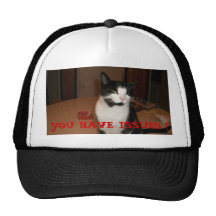¡USTED TIENE PROBLEMAS! GORRA