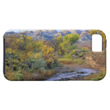 UTAH. LOS E.E.U.U. Cala agradable en otoño en la s iPhone 5 Protector