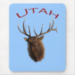 Utah Tapetes De Raton