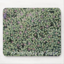 Uva de gato + Abeja, TheHealingIdea @ Zazzle Alfombrilla De Ratones