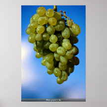 Uvas blancas en cielo impresiones