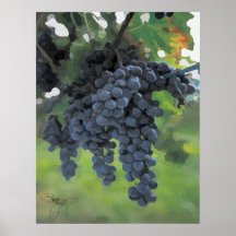 Uvas de la calidad impresiones