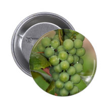 Uvas del Seneca Pins