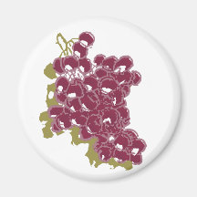 Uvas Imanes De Nevera