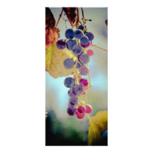 Uvas Plantillas De Lonas