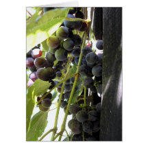 Uvas Tarjeta