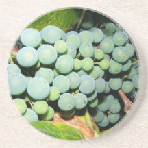 Uvas verdes posavasos cerveza