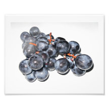 Uvas Vitis vinifera Fotografias
