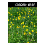 V jefe - narcisos/narciso plantillas de tarjetas de visita