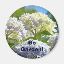 ¡Va el jardín! flores azules del Hydrangea de los 