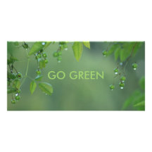 VA EL VERDE TARJETA PERSONAL CON FOTO