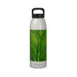 Va realmente el verde botellas de beber