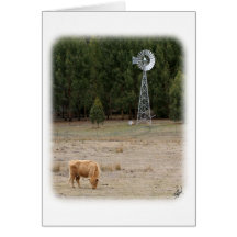 Vaca 9Y345D-041 de la montaña Tarjeton