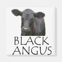 Vaca negra de Angus Imán Para Frigorífico
