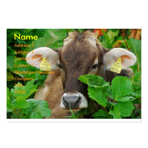 Vaca Tarjetas De Visita