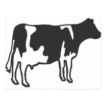 Vaca Tarjetas Postales