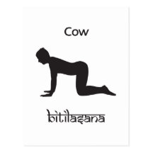 Vaca Tarjetas Postales