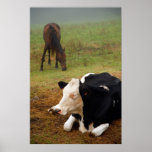 Vaca y caballo impresiones