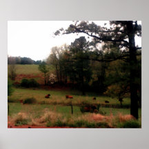 Vacas de la granja del paisaje de CricketDiane en  Poster