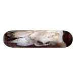 Vacas de los cuernos de los huesos de los cráneos tablas de skate
