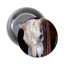 Vacas de los cuernos de los huesos de los cráneos pins
