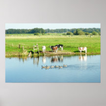 Vacas en poster de la naturaleza del paisaje del r