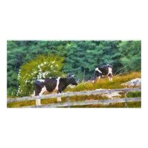 Vacas - MOO Tarjeta Personal