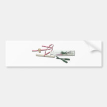 VacationNotesInBottle041412.png Etiqueta De Parachoque