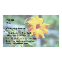 Vainas de plantas de vides de las flores tarjetas personales
