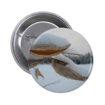 Vainas nevadas del Milkweed Pin