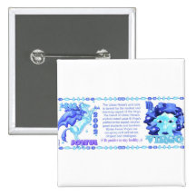Valxart 2002 1942 2062 virgos de WaterHorse del zo Pins