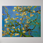 Van Gogh; Árbol de almendra floreciente, flores de Impresiones