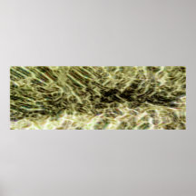 Vapor del desierto poster